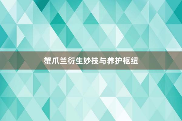蟹爪兰衍生妙技与养护枢纽