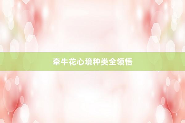 牵牛花心境种类全领悟