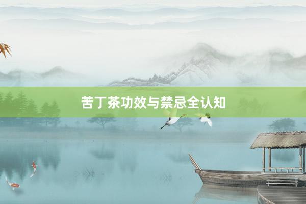 苦丁茶功效与禁忌全认知
